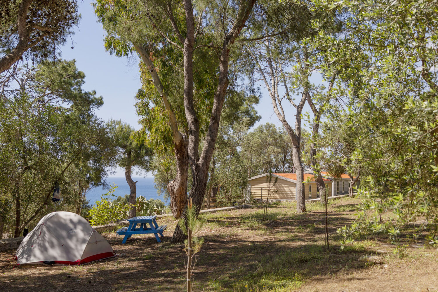 TENDA_1